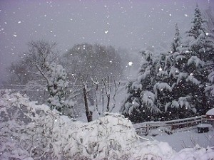 nevicata2